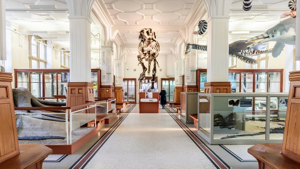  Manchester Museum&nbsp;