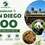 Phá đảo Sở thú San Diego: Check-in tọa độ hoang dã hàng đầu nước Mỹ