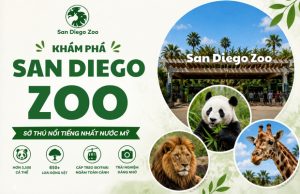 Phá đảo Sở thú San Diego: Check-in tọa độ hoang dã hàng đầu nước Mỹ