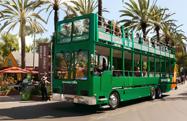 Tour xe bu&yacute;t l&agrave; c&aacute;ch l&yacute; tưởng để kh&aacute;m ph&aacute; tổng quan Sở th&uacute; San Diego trong thời gian ngắn