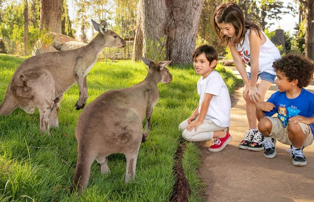 San Diego Zoo l&agrave; điểm tham quan l&yacute; tưởng d&agrave;nh cho c&aacute;c gia đ&igrave;nh c&oacute; trẻ nhỏ