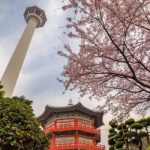 Tháp Busan – Biểu tượng rực rỡ của thành phố cảng Hàn Quốc
