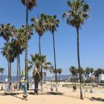 Bãi biển Venice – Khám phá thiên đường biển sôi động bậc nhất Los Angeles