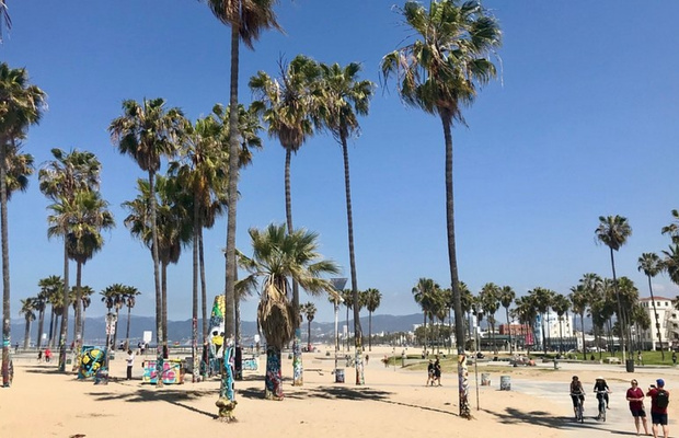 Bãi biển Venice – Khám phá thiên đường biển sôi động bậc nhất Los Angeles