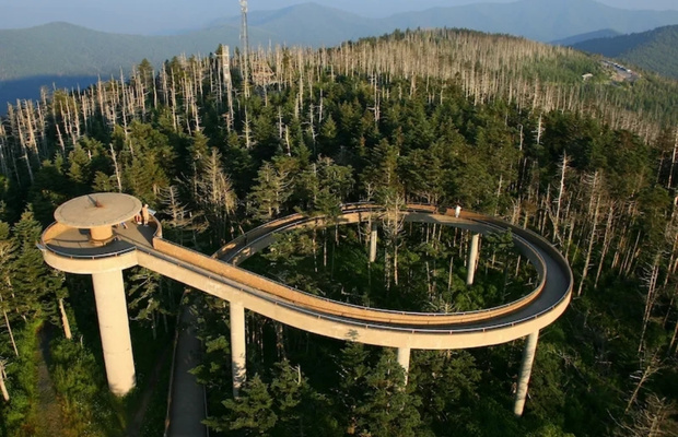 Kh&aacute;m ph&aacute; Clingmans Dome - Đỉnh cao nhất c&ocirc;ng vi&ecirc;n