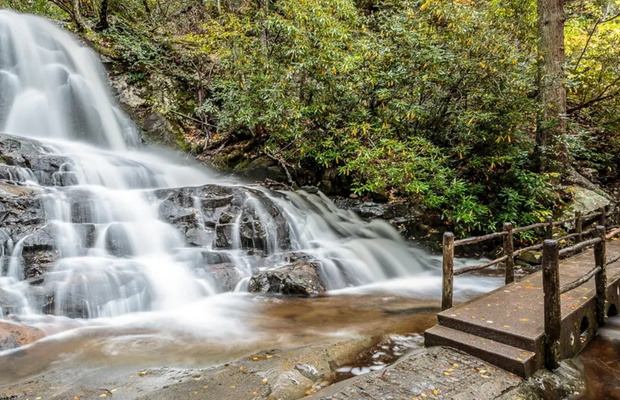 Thử th&aacute;ch bản th&acirc;n với đường m&ograve;n Great Smoky Mountains