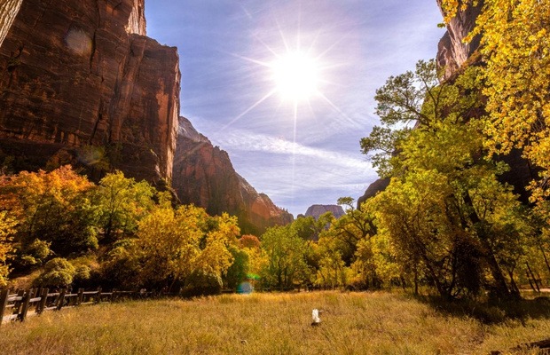 Sắc thu nhuộm v&agrave;ng thung lũng Zion