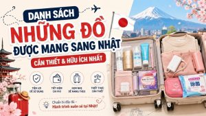 Tổng hợp danh sách những đồ được mang sang Nhật cần biết