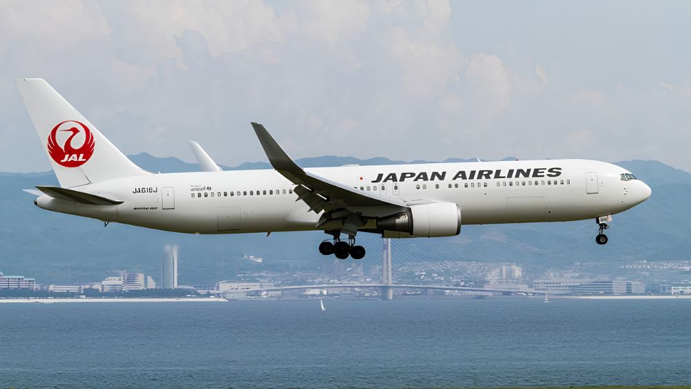 M&aacute;y bay Japan Airlines với thiết kế nhận diện đặc trưng của h&atilde;ng h&agrave;ng kh&ocirc;ng quốc gia Nhật Bản (Nguồn: Internet)
