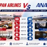 Japan Airlines vs ANA: Economy – Premium Economy – Business Class
