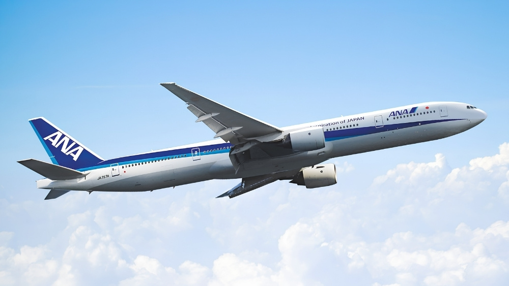 Review All Nippon Airways (ANA): Đánh giá chất lượng hãng bay 5 sao chuẩn Nhật