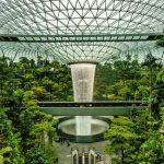 Sân bay Changi Singapore: Cẩm nang chi tiết 2026