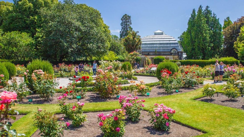 Vườn hoa rực rỡ tại Hagley Park v&agrave; Vườn B&aacute;ch thảo Christchurch
