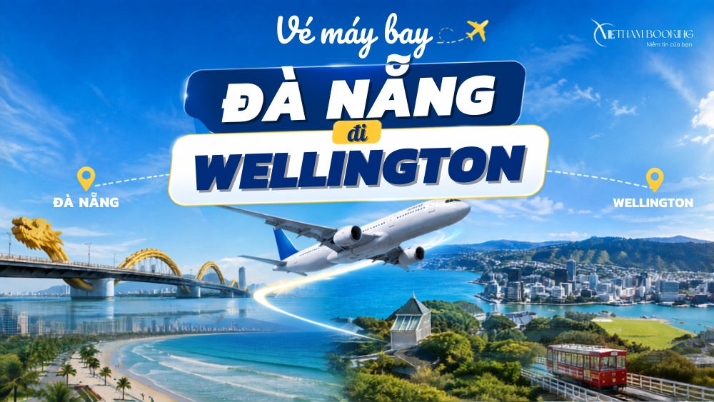 H&igrave;nh ảnh minh họa v&eacute; m&aacute;y bay từ Đ&agrave; Nẵng đi Wellington với m&aacute;y bay, cầu Rồng v&agrave; th&agrave;nh phố Wellington